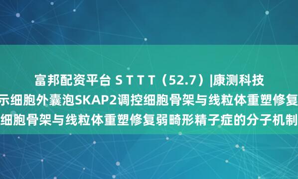 富邦配资平台 S T T T(52.7)|康测科技cDNA全长转录组助力揭示细胞外囊泡SKAP2调控细胞骨架与线粒体重塑修复弱畸形精子症的分子机制